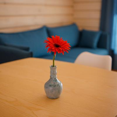 Дом-студия в лесу