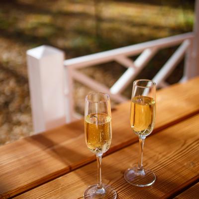 Дом-студия в лесу