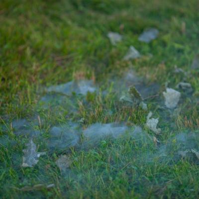 Ивана Купла в Ясенево